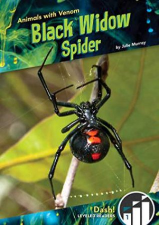 Animals with Venom: Black Widow Spider by JULIE MURRAY