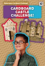 Cardboard Castle Challenge