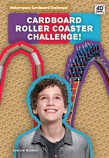 Cardboard Roller Coaster Challenge