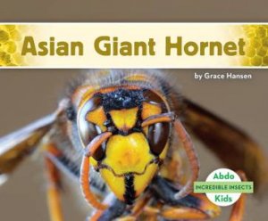 Incredible Insects: Asian Giant Hornet by Grace Hansen