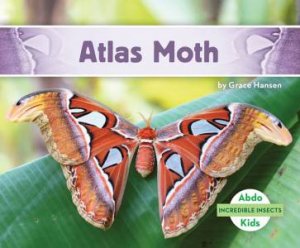 Incredible Insects: Atlas Moth by Grace Hansen