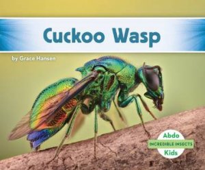 Incredible Insects: Cuckoo Wasp by Grace Hansen