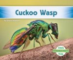 Incredible Insects Cuckoo Wasp