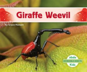 Incredible Insects: Giraffe Weevil by Grace Hansen