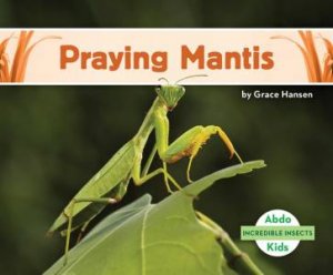 Incredible Insects: Praying Mantis by Grace Hansen