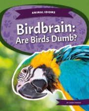 Animal Idioms Birdbrain Are Birds Dumb
