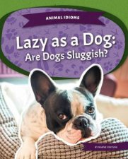 Animal Idioms Lazy As A Dog Are Dogs Sluggish