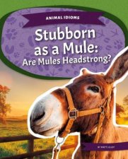 Animal Idioms Stubborn As A Mule Are Mules Headstrong