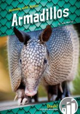 Animals With Armor Armadillos