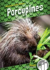 Animals With Armor Porcupines