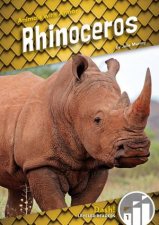 Animals With Armor Rhinoceros