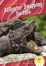 Animal Pranksters Alligator Snapping Turtles