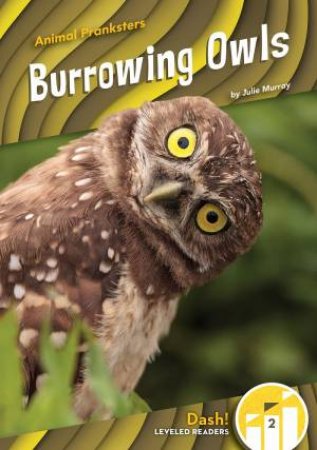 Animal Pranksters: Burrowing Owls by Julie Murray