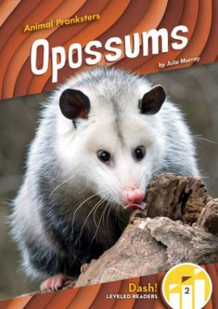 Animal Pranksters: Oppossums by Julie Murray
