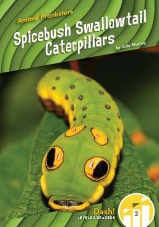 Animal Pranksters: Spicebush Swallowtail Caterpillars by Julie Murray