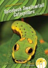 Animal Pranksters Spicebush Swallowtail Caterpillars