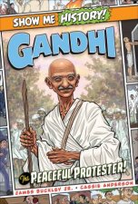 Gandhi The Peaceful Protester