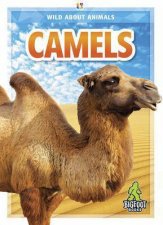 Wild About Animals Camels