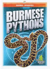 Animal Invaders Burmese Pythons