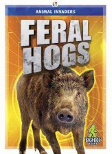 Animal Invaders Feral Hogs