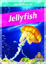 Amazing Ocean Life Jellyfish