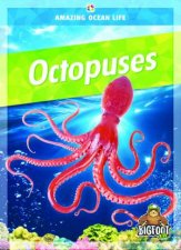 Amazing Ocean Life Octopuses