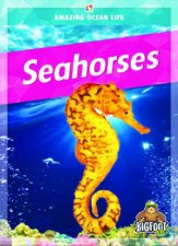 Amazing Ocean Life Seahorses