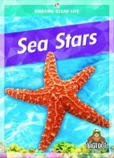Amazing Ocean Life Sea Stars