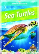 Amazing Ocean Life Sea Turtles