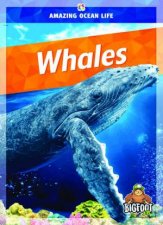 Amazing Ocean Life Whales