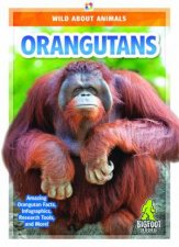 Wild About Animals Orangutans