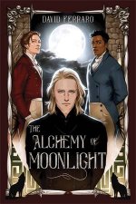 The Alchemy Of Moonlight