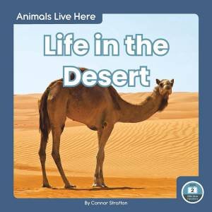 Animals Live Here: Life In The Desert by Connor Stratton