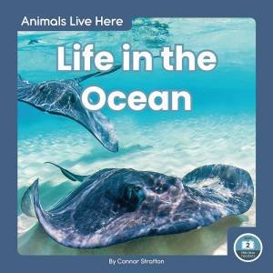 Animals Live Here: Life In The Ocean by Connor Stratton