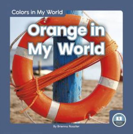 Colors in My World: Orange in My World by BRIENNA ROSSITER