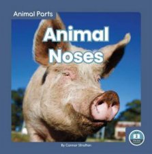 Animal Parts Animal Noses