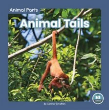 Animal Parts Animal Tails