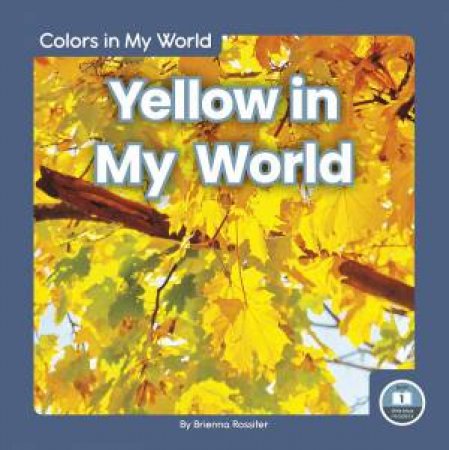 Colors in My World: Yellow in My World by BRIENNA ROSSITER