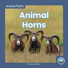 Animal Parts Animal Horns