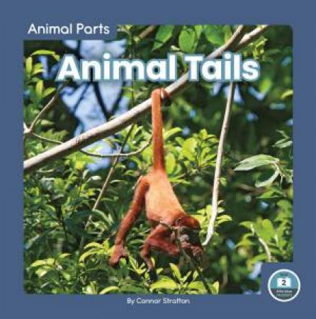 Animal Parts: Animal Tails by CONNOR STRATTON