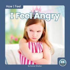 How I Feel I Feel Angry