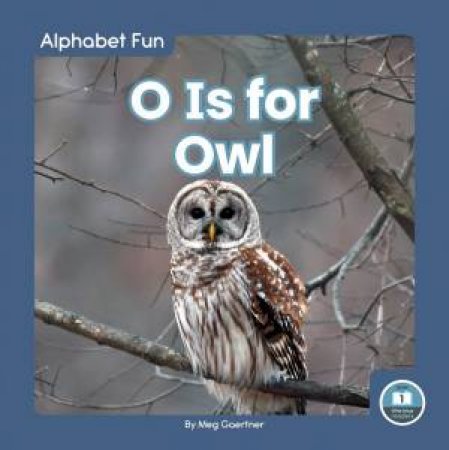 Alphabet Fun: O is for Owl by Meg Gaertner