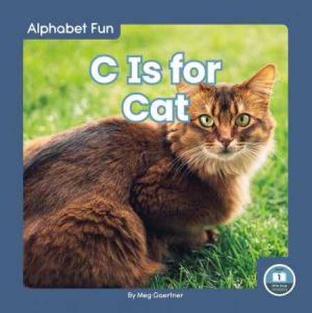 Alphabet Fun: C is for Cat by Meg Gaertner