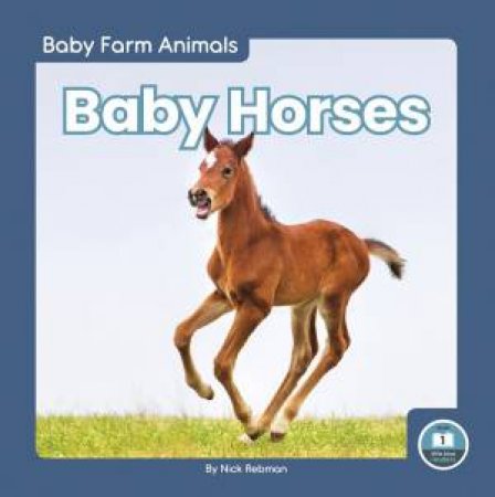 Baby Horses by Nick Rebman