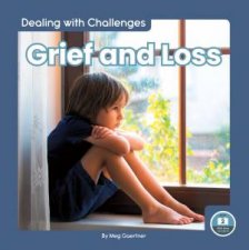 Dealing With Challenges Grief And Loss
