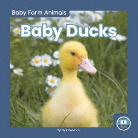Baby Ducks by Nick Rebman