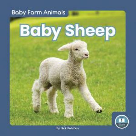 Baby Sheep by Nick Rebman