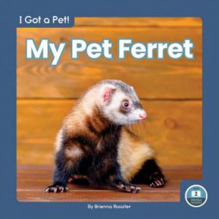 I Got A Pet! My Pet Ferret by Brienna Rossiter