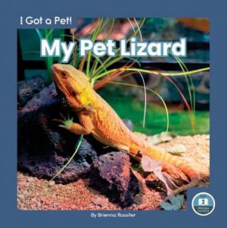 I Got A Pet! My Pet Lizard by Brienna Rossiter