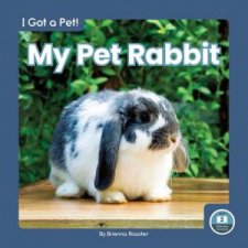 I Got A Pet My Pet Rabbit
